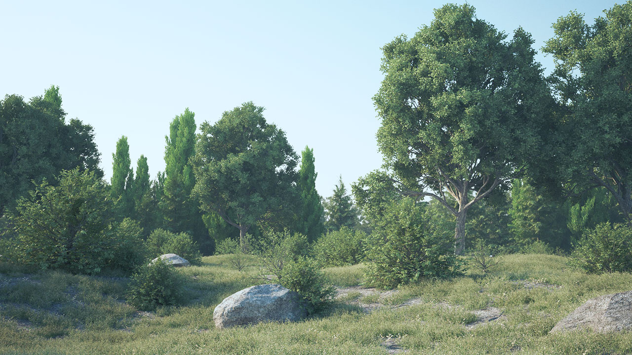 Forester cinema. Forester c4d. Forester Cinema 4d. Лес Синема. Forester Tree.